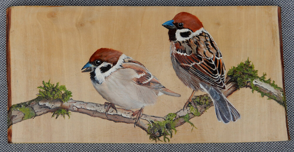 Schilderij 2 mussen op hout 31 x 15 cm.