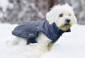 Petlando Honden Winterjas Lovund 36 Navy (42x33x3 cm)
