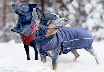 Petlando Honden Winterjas Lovund 36 Navy (42x33x3 cm)