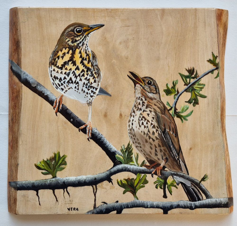 Schilderij zanglijsters op hout 26 x 23 cm.