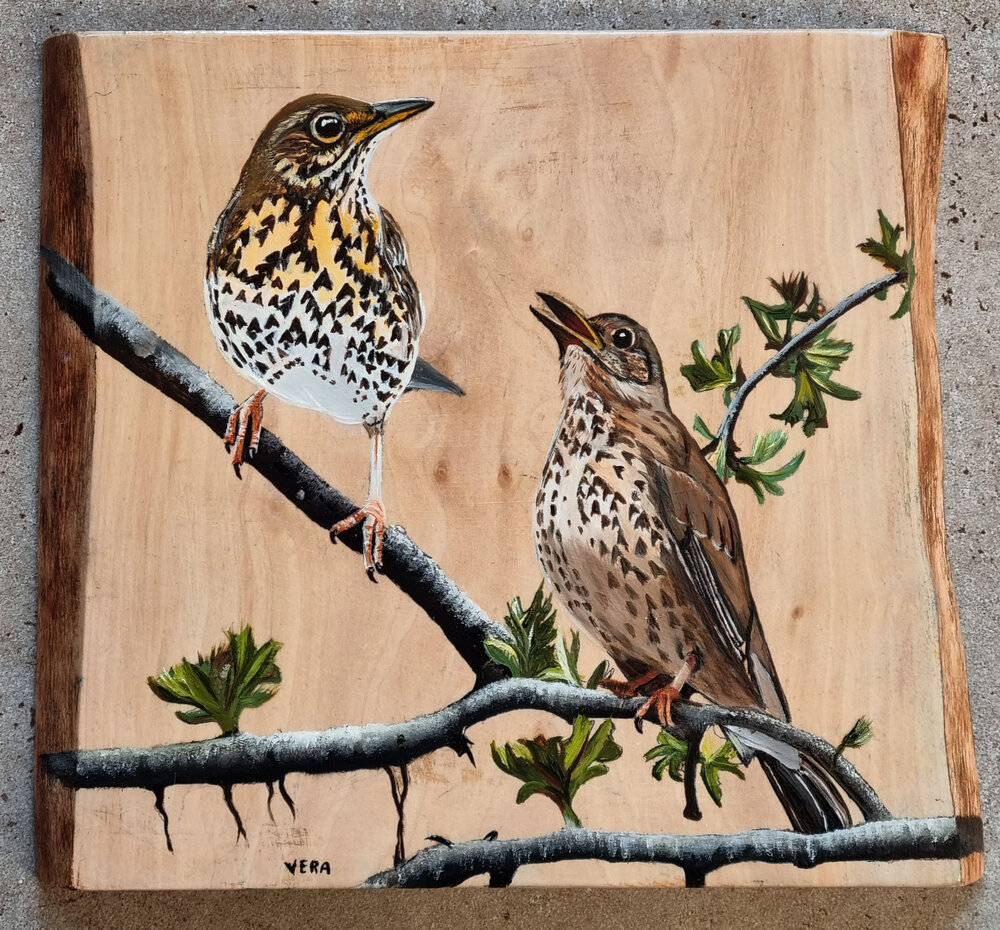 Schilderij zanglijsters op hout 26 x 23 cm.