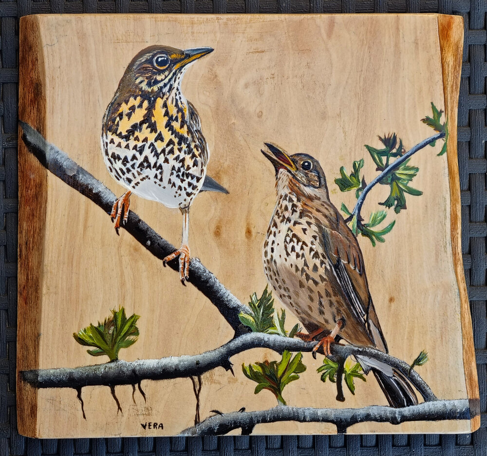 Schilderij zanglijsters op hout 26 x 23 cm.