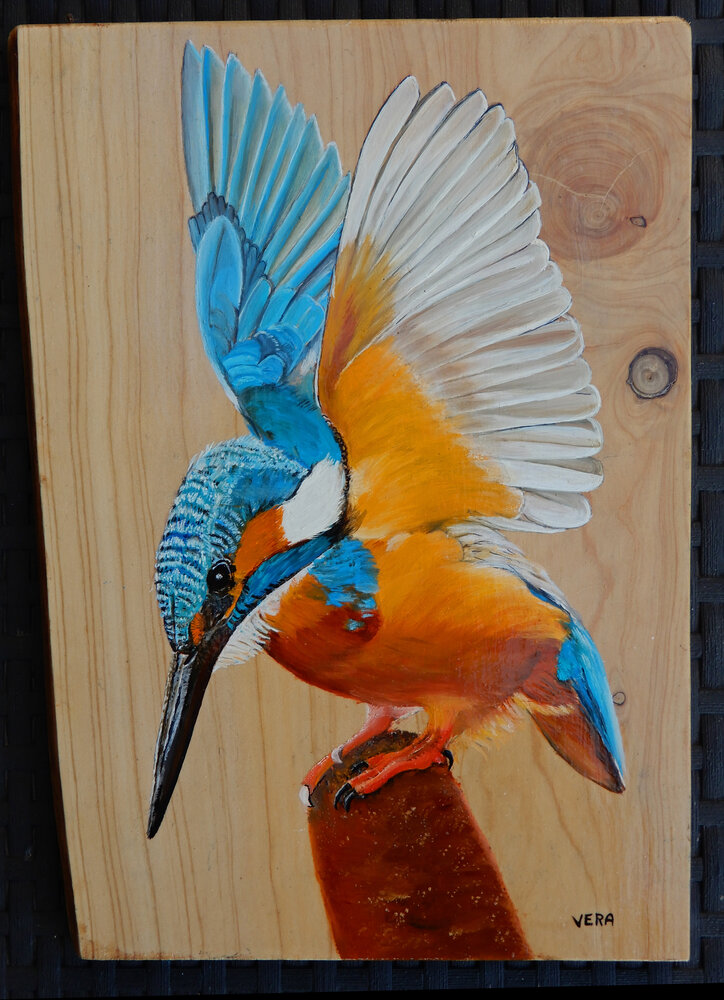 Schilderij ijsvogel op hout 22 x 30 cm.