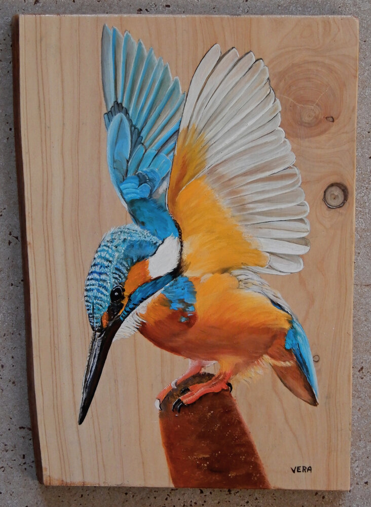 Schilderij ijsvogel op hout 22 x 30 cm.