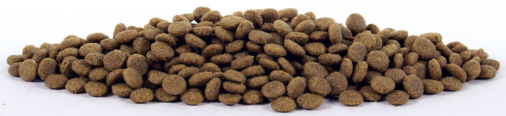 Natural Health Cat Chicken Senior 10 kg kattenvoer