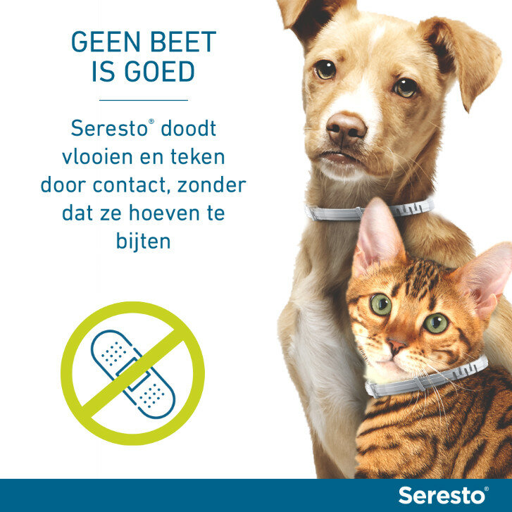 Seresto halsband 38 cm voor hond tot 8kg tegen vlooien, teken, luizen 