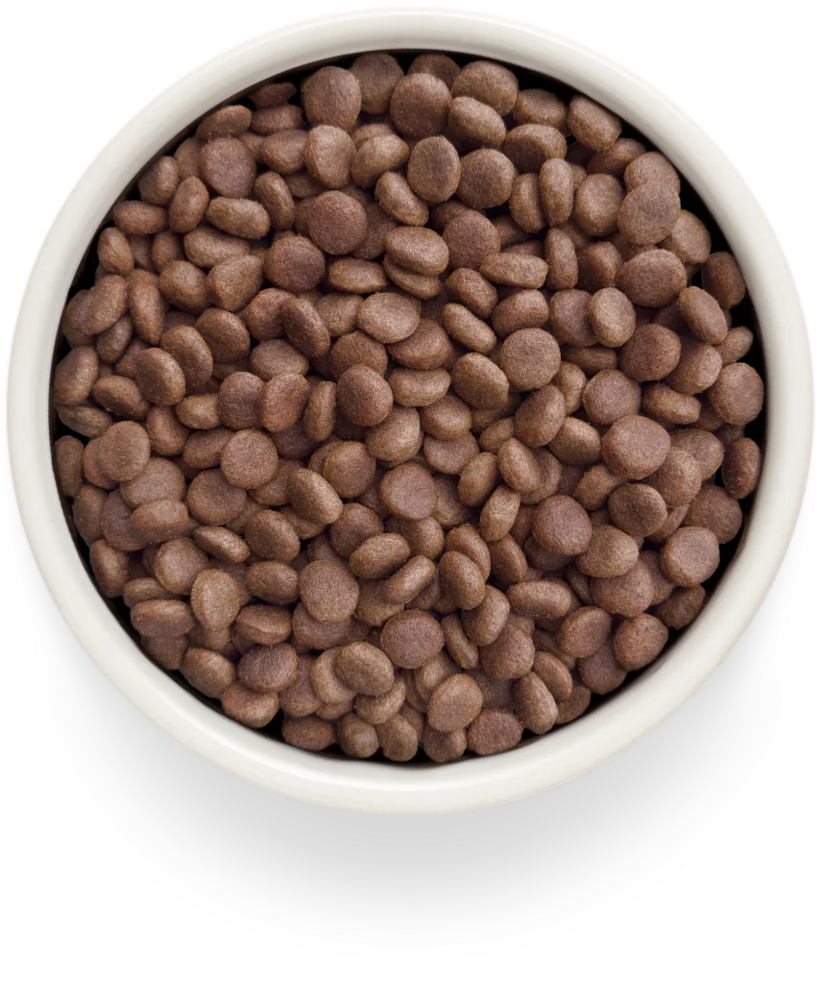 Grandorf GV-Dog Gastrointestinal 3 kg | Dieetvoer hond