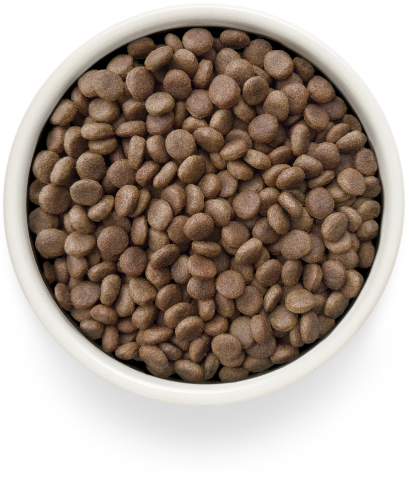 Grandorf GV-Dog Gastrointestinal Low Fat 3 kg | Vetarm