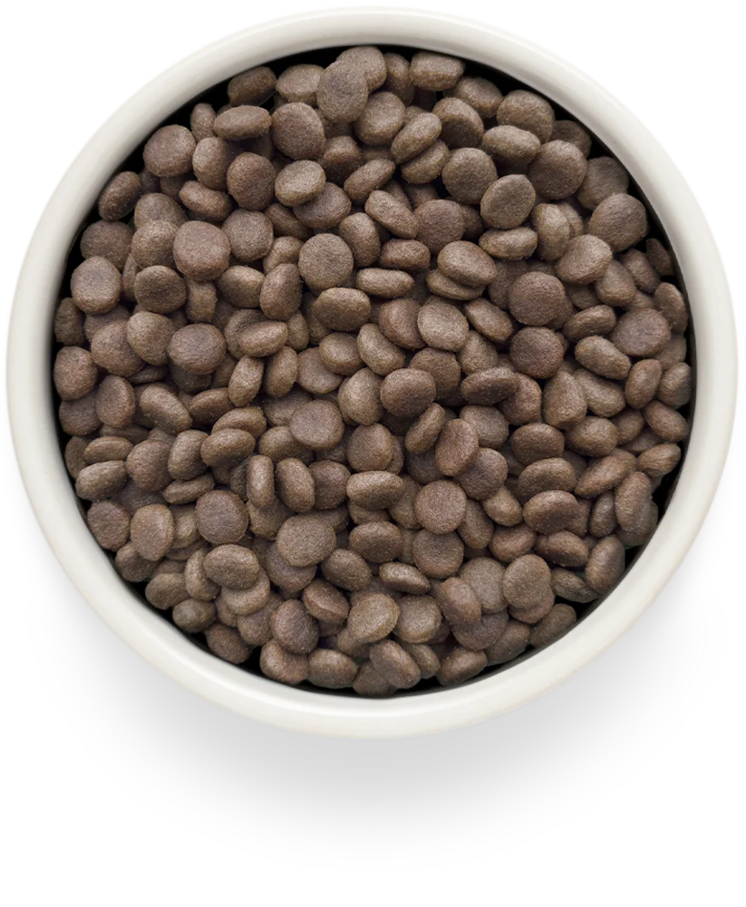 Grandorf GV-Dog Renal 3 kg | Nierdieet voor honden