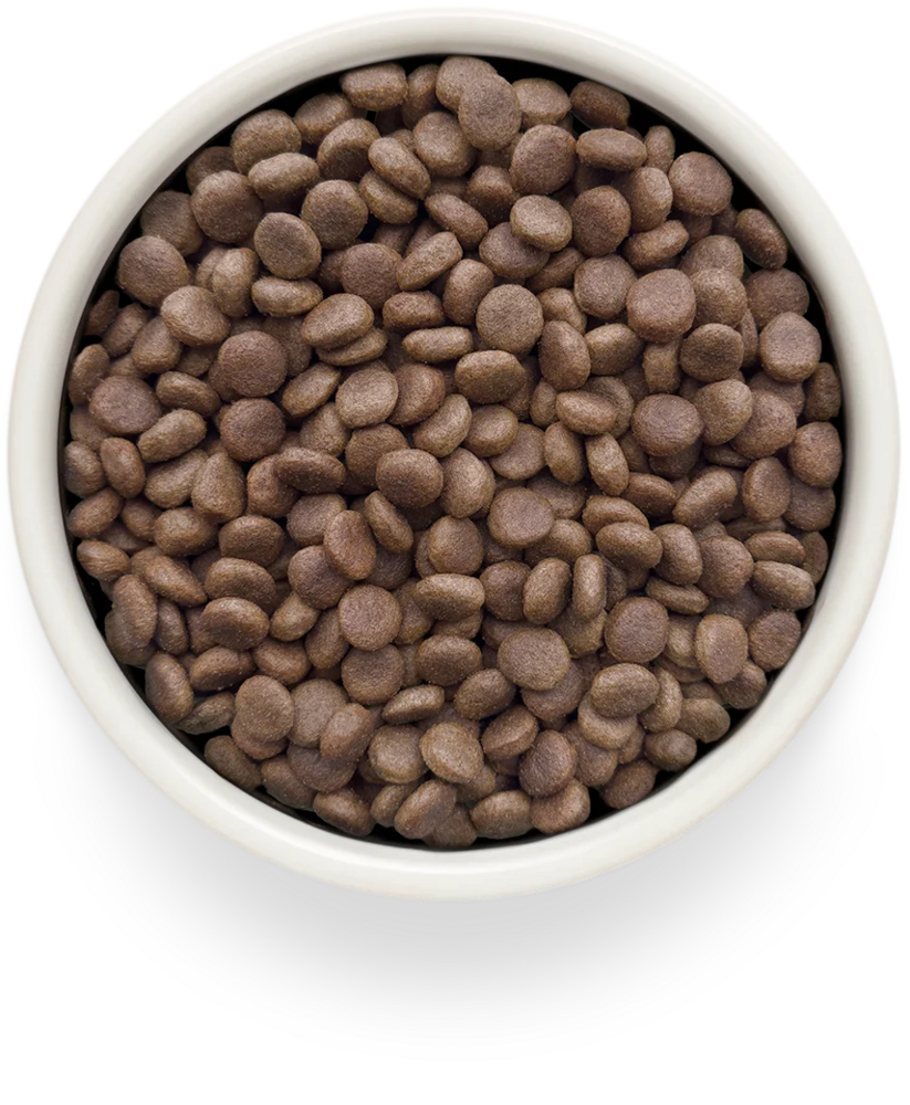 Grandorf GV-Dog Dermatosis 3 kg | Huiddieet voor honden