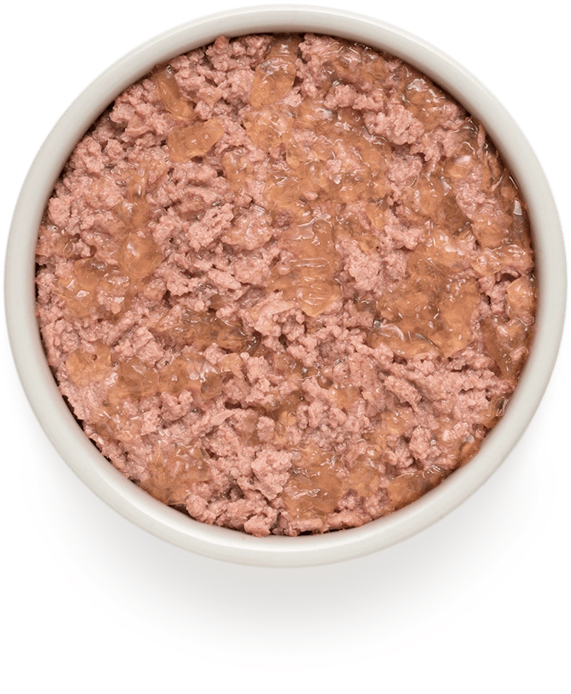 Grandorf GD-Dog Eend &amp; Kalkoen 6x400g | Natvoer hond