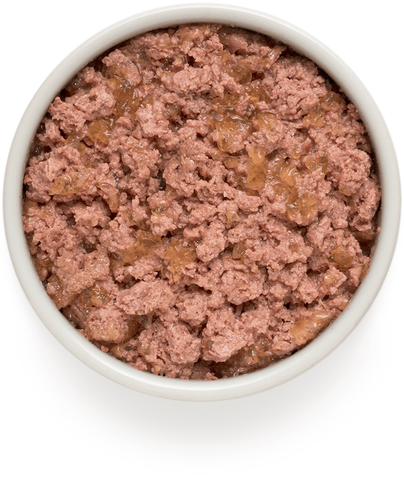 Grandorf GD-Dog Lam &amp; Kalkoen Puppy 6x400g | Natvoer