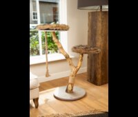 Beeztees Houten Krabmeubel Aviva 50x50x68cm 