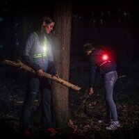 Bee Seen Led Harness USB Green