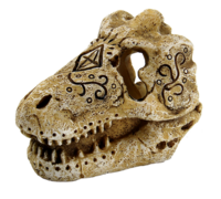 SuperFish Skull T-Rex S (8x6x6cm)
