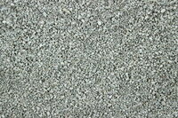 Linda Spaans (Blauw) 8L