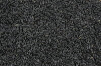 Tijssen Zonnepitten Zwart 1 kg