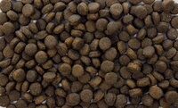 Natural Health Cat Carnivore Large Bite 400 gr