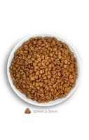 Amanova Sterilised Cat Fish Delicacy 6 kg Graanvrij