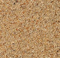 Deli Nature Basis Exoten 20 kg 