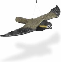 big cheese flying Falcon vogel verjager