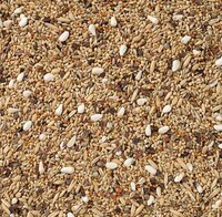 Deli Nature Grote Parkiet Zonder Zonnepitten 20 kg