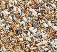 Deli Nature Grote Parkiet met Zonnepitten 20 kg 