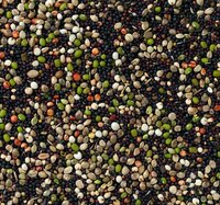 Deli Nature Kanarie Kiemzaad 20 kg 
