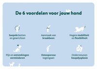 Dogsuppy Heupen en Gewrichten Supplement 60 stuks
