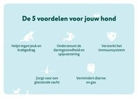 Dogsuppy Anti-Jeuk met Rund Probiotica 60 stuks