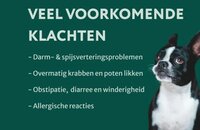 Dogsuppy Probiotica Forte kip Spijsvertering en darmflora 60 stuks
