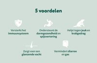 Dogsuppy Probiotica Forte kip Spijsvertering en darmflora 60 stuks