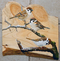 Schilderij 3 mussen op hout 35 x 35 cm.