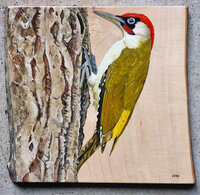 Schilderij groene specht op hout 27 x 25 cm.