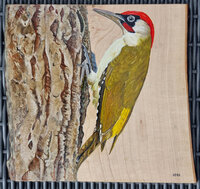 Schilderij groene specht op hout 27 x 25 cm.