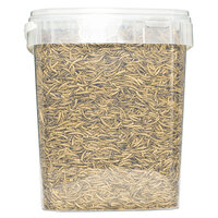 Pets en Co Meelwormen 10 Liter