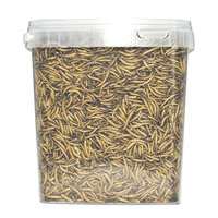 Pets en Co Meelwormen 5 Liter