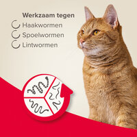 Beaphar Wormmiddel All In One Kat 2 tab.