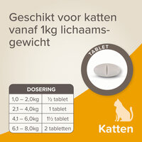 Beaphar Wormmiddel All In One Kat 2 tab.