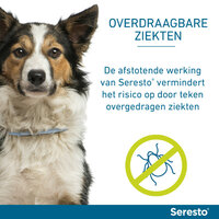 Seresto halsband 70cm voor hond vanaf 8kg tegen vlooien, teken, luizen 