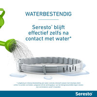 Seresto halsband 38 cm voor kat tegen vlooien, teken, luizen 