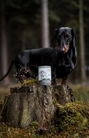 Riverwood natvoer Wildzwijn mono prote&iuml;ne 400 gram