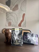 Riverwood Kitten  Kip &amp; Eend met Zalm 6kg