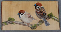 Schilderij 2 mussen op hout 31 x 15 cm.