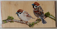 Schilderij 2 mussen op hout 31 x 15 cm.
