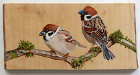 Schilderij 2 mussen op hout 31 x 15 cm.