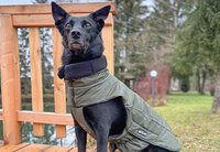 Petlando Honden Winterjas Lovund 75 Navy (103x56x3 cm)