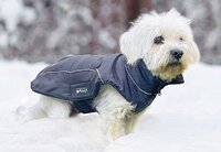 Petlando Honden Winterjas Lovund 36 Navy (42x33x3 cm)