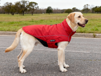 Petlando Honden Winterjas Lovund 34 Rood (49x30x3 cm)