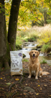Doglovers Gold Original 13kg